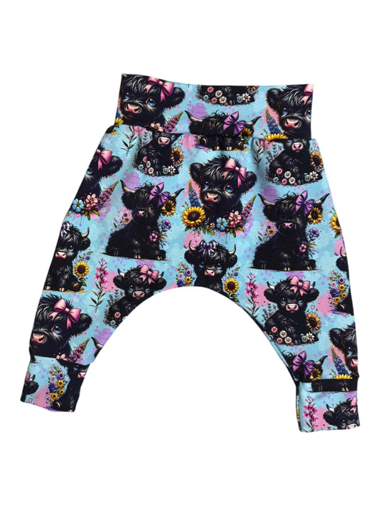 Cow harems