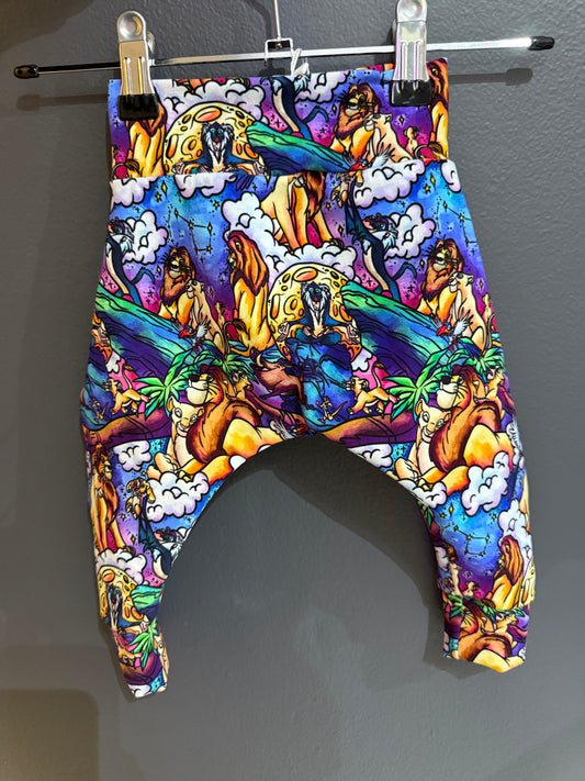 Lion harems